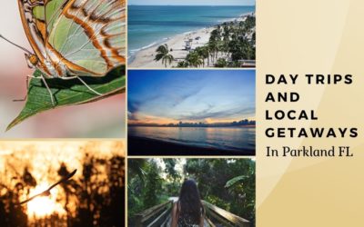 Day Trips and Local Getaways In Parkland, FL